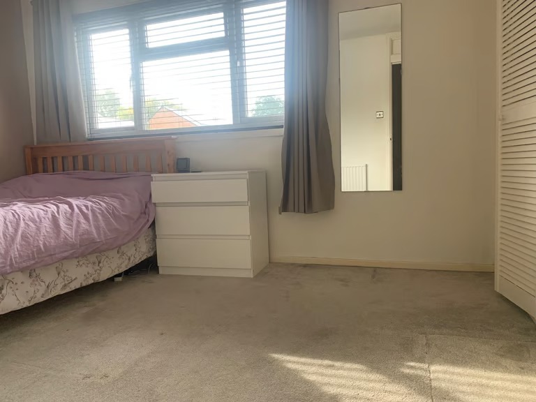 Room to let