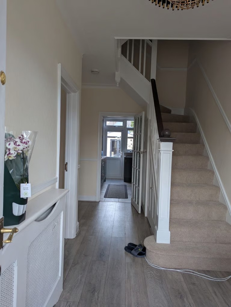 modern Single room to let